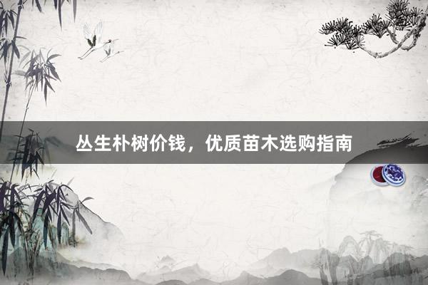 丛生朴树价钱，优质苗木选购指南